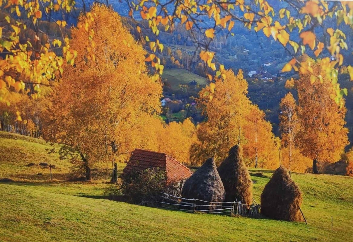 Excursie 4 zile in Ardeal de Rusalii